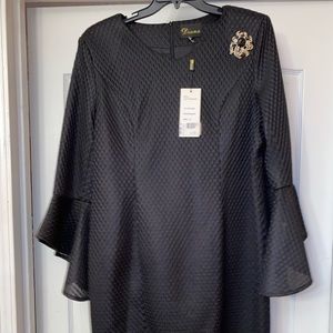 Diana, Beautiful Black Belle Sleeves knee length dress.